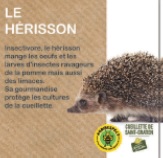 Hérisson