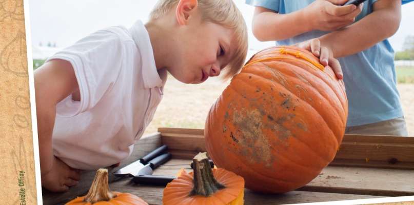 A LA CUEILLETTE POUR HALLOWEEN...LES P'TITS CURIEUX SONT BIEN HEUREUX