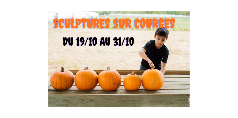 A LA CUEILLETTE POUR HALLOWEEN...LES P'TITS CURIEUX SONT BIEN HEUREUX